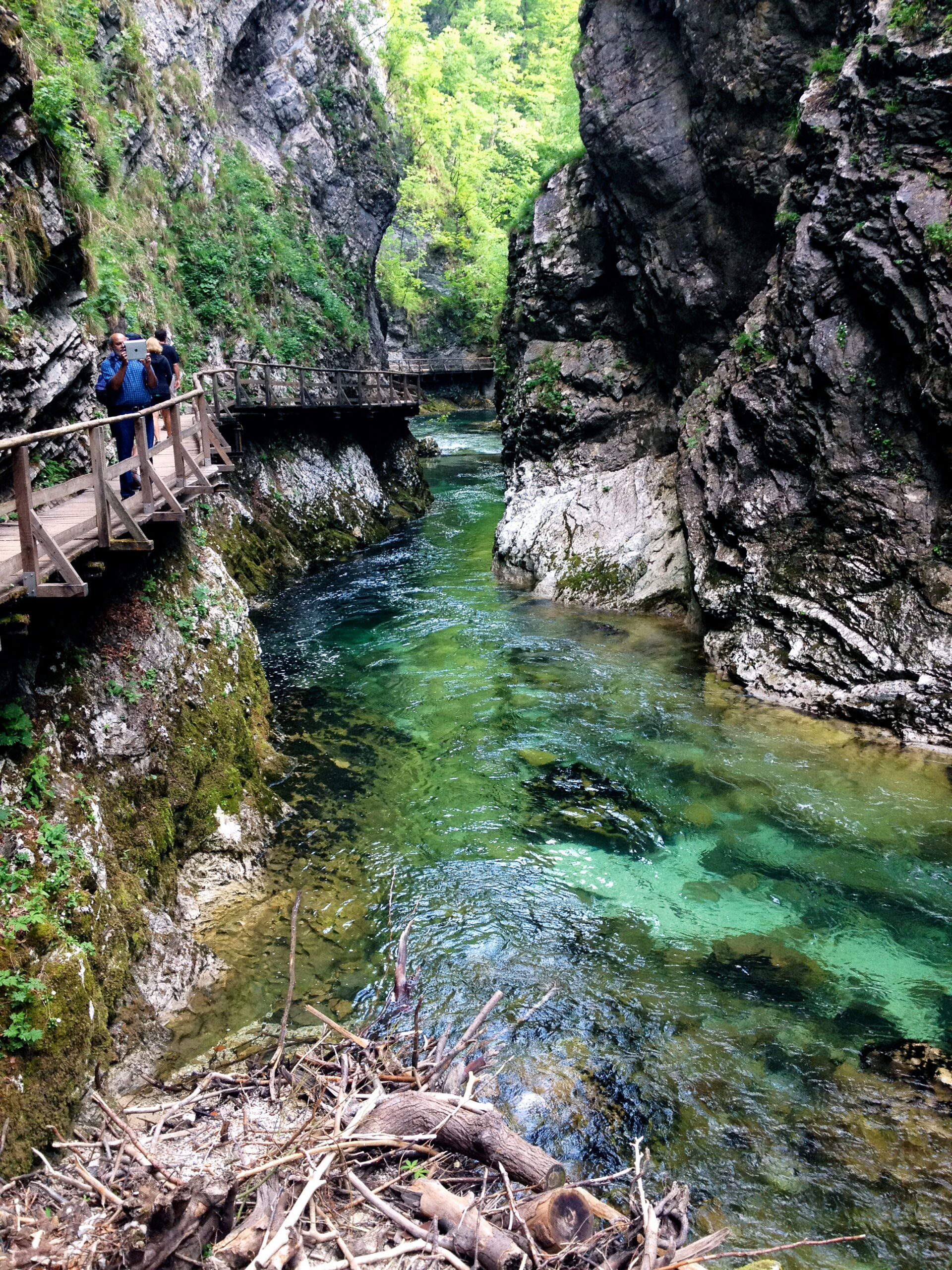 Vintgar Gorge boardwalk in the Triglav Park