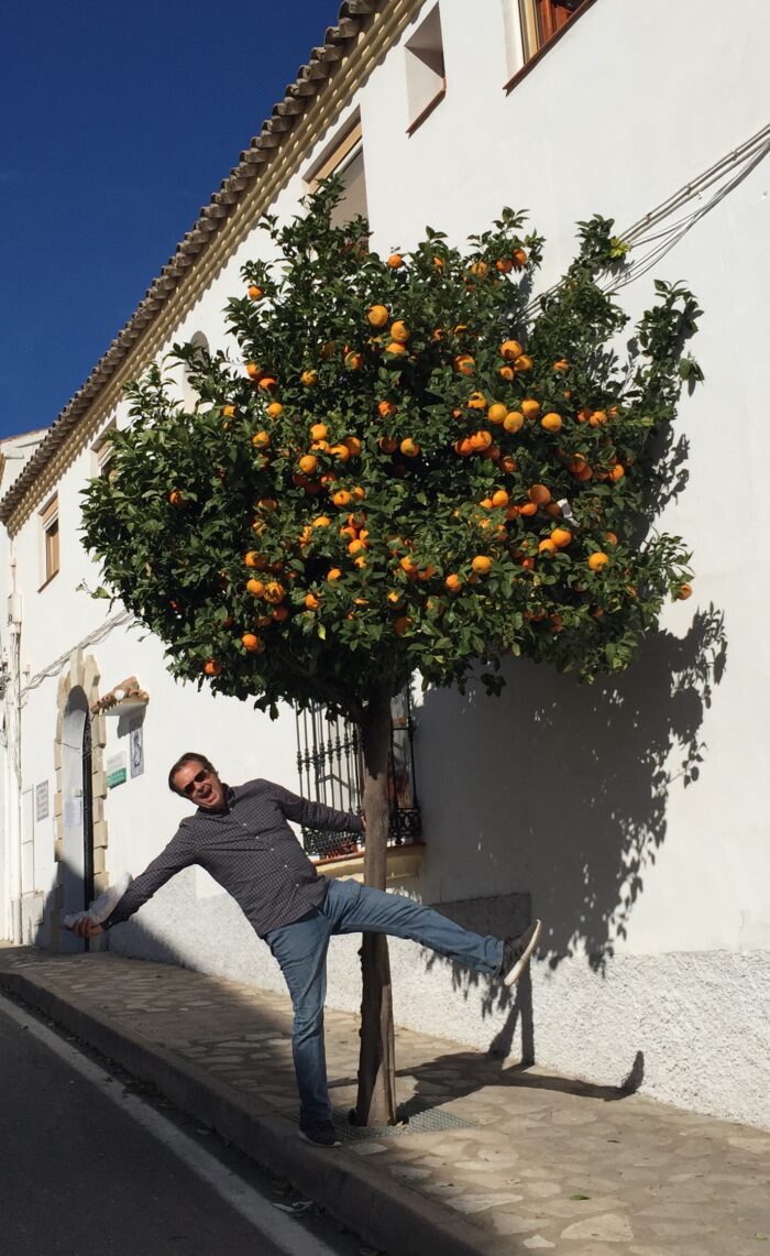 The White Villages were lined with orange trees
