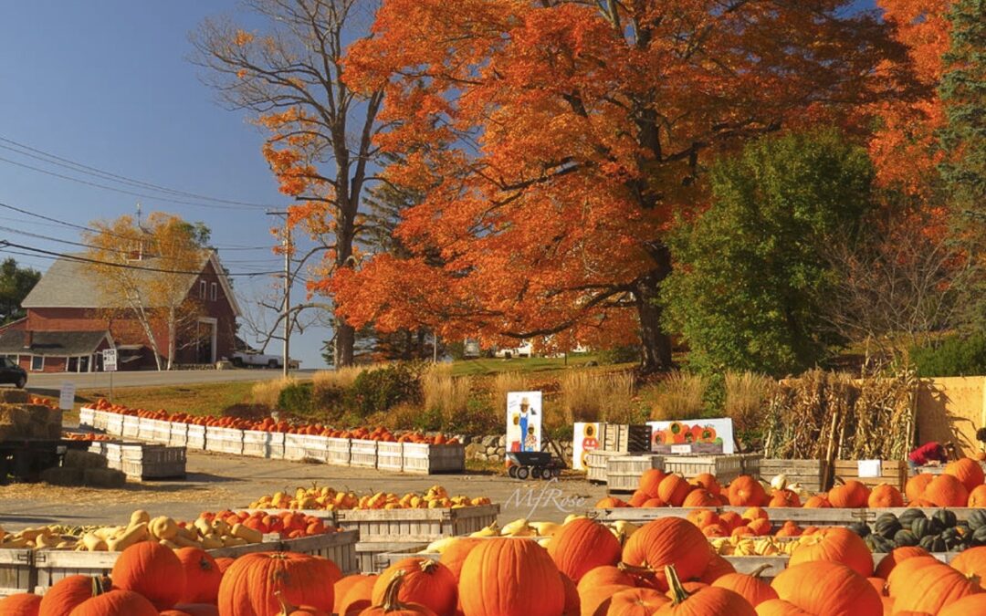 Fantastic Fall Foliage in New England